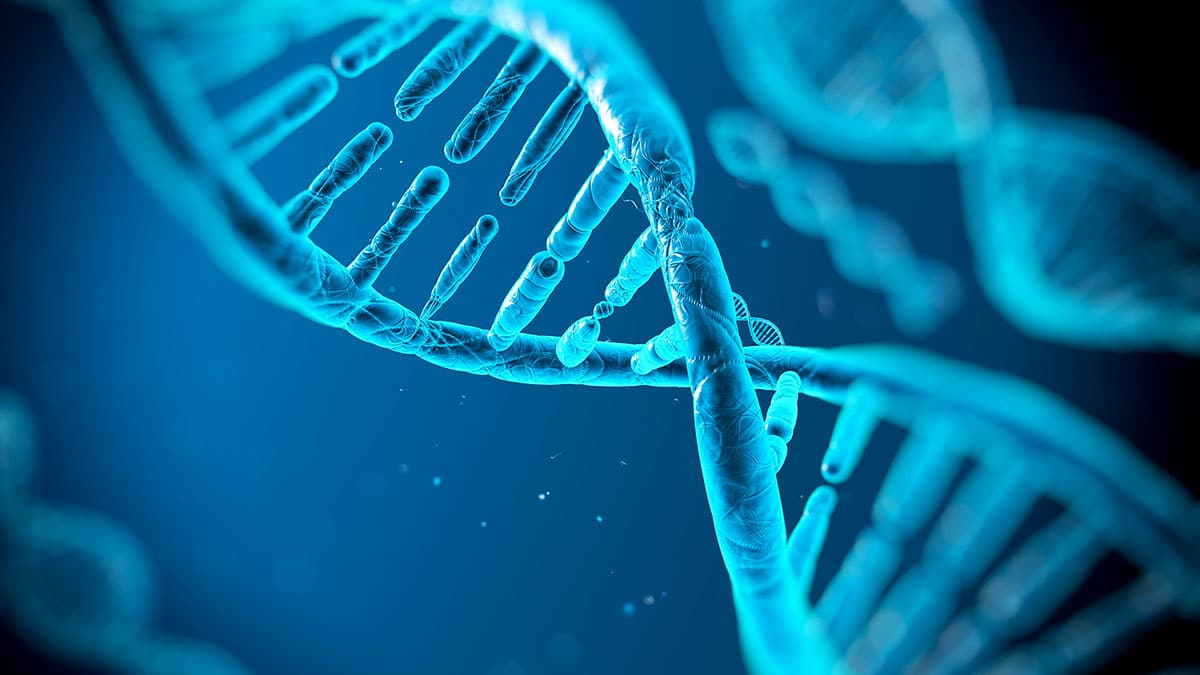 Científicos italianos acceden a fotos directas del ADN
