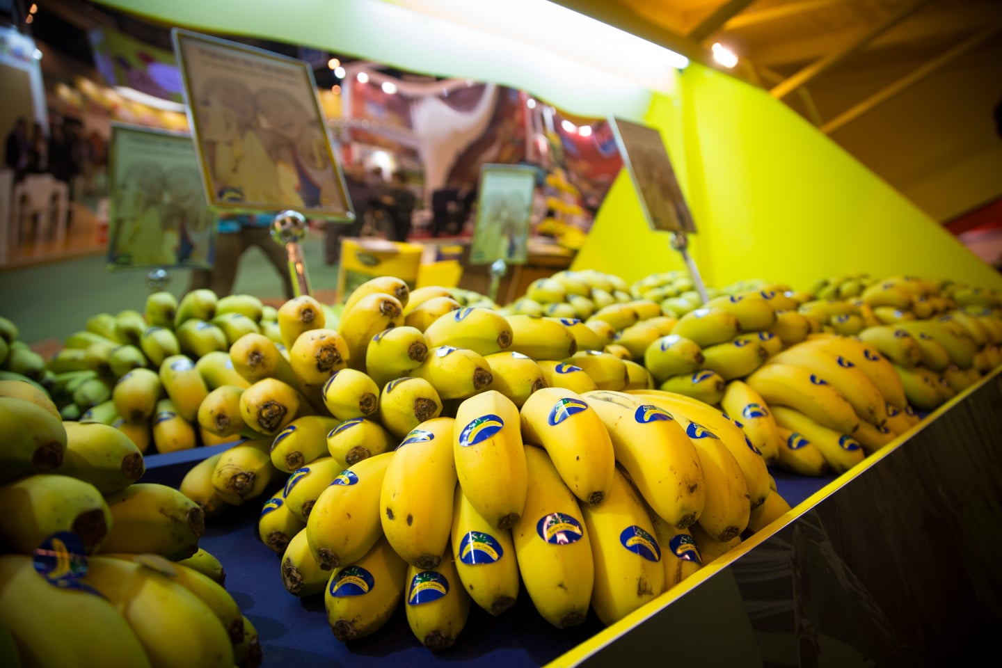 Plátanos de Canarias nos anima a sorprender a los Reyes Magos