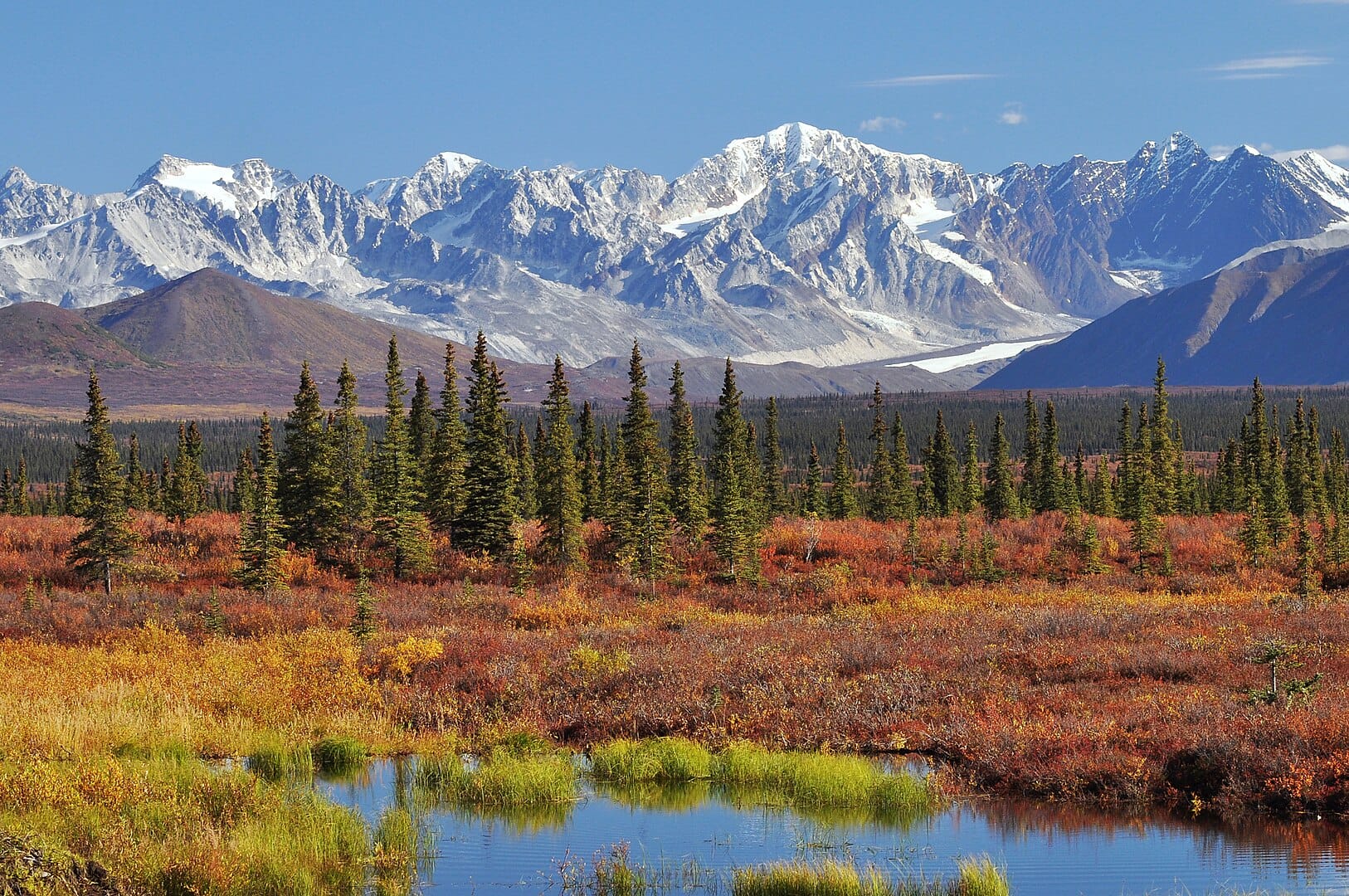 La venta de Alaska: Un cambio geopolítico en el siglo XIX - Mentes Curiosas