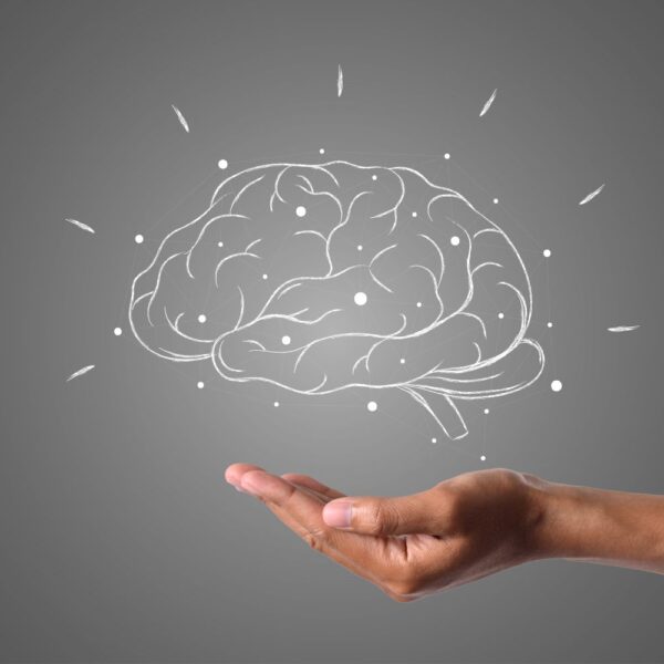 22 de julio Día Mundial del Cerebro: claves del poderoso órgano que es imprescindible cuidar